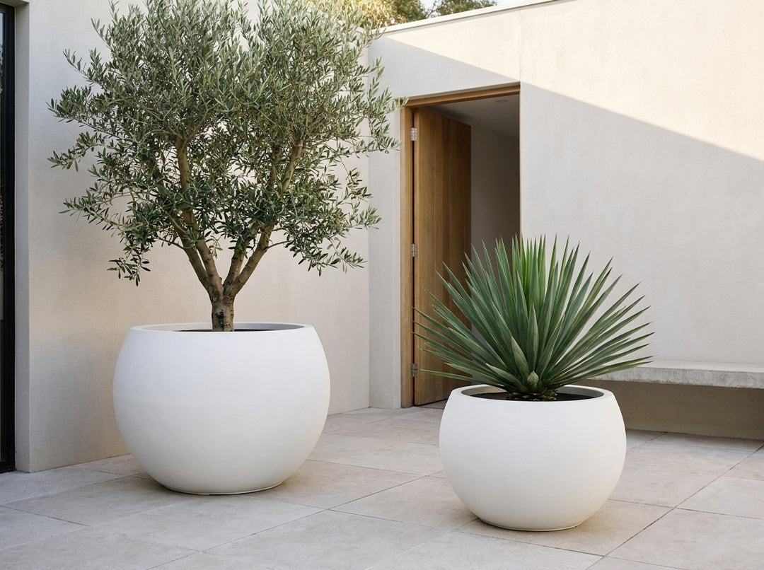 Aspen statement planter bowls in Arctic white terrazzo, both sizes planted with an architectural agave and a Beschorneria in a contemporary courtyard