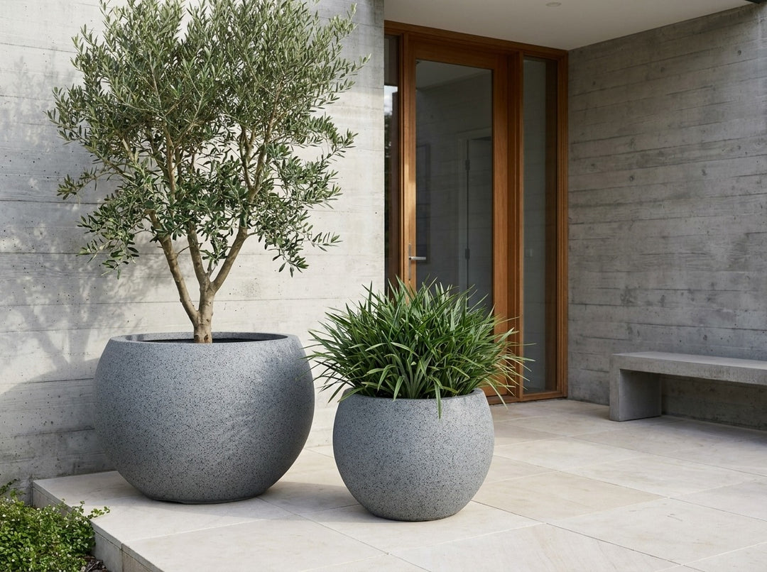 Aspen statement planter bowls in Granite grey terrazzo, both sizes planted with a sculptural agave and a Dianella flax-lily mass at a modern entry