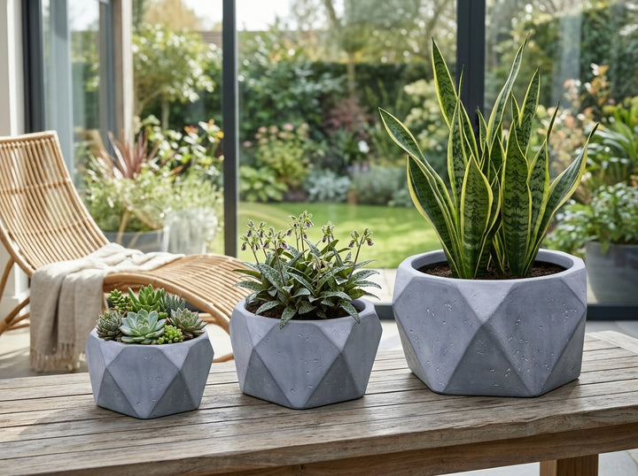 Geo Bowl planter pots (Set of 3) in Slate concrete-look finish styled in an Adelaide garden — Small 6L, Medium 16L, Large 38L; lightweight fibre-clay, indoor or outdoor.