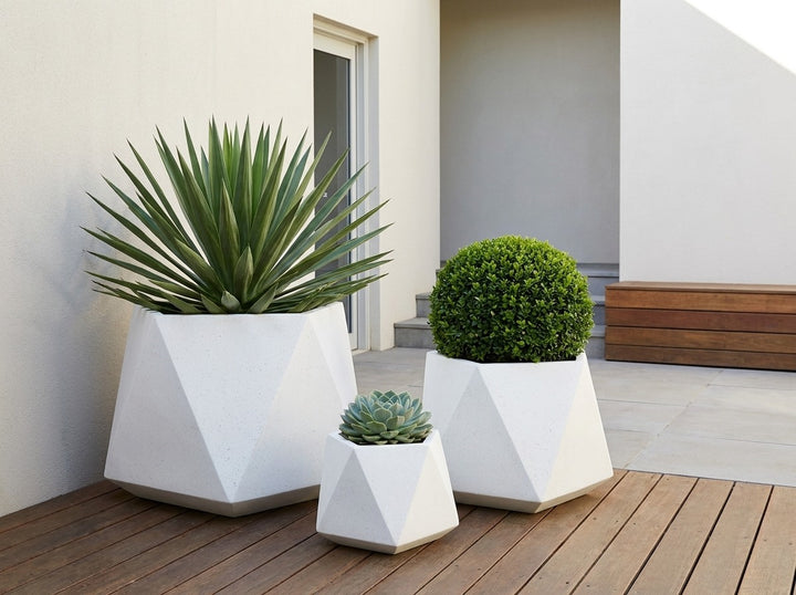 Geo Squat planter pots in Arctic white terrazzo, all three sizes planted with a Beschorneria, clipped buxus ball and echeveria on a timber deck courtyard