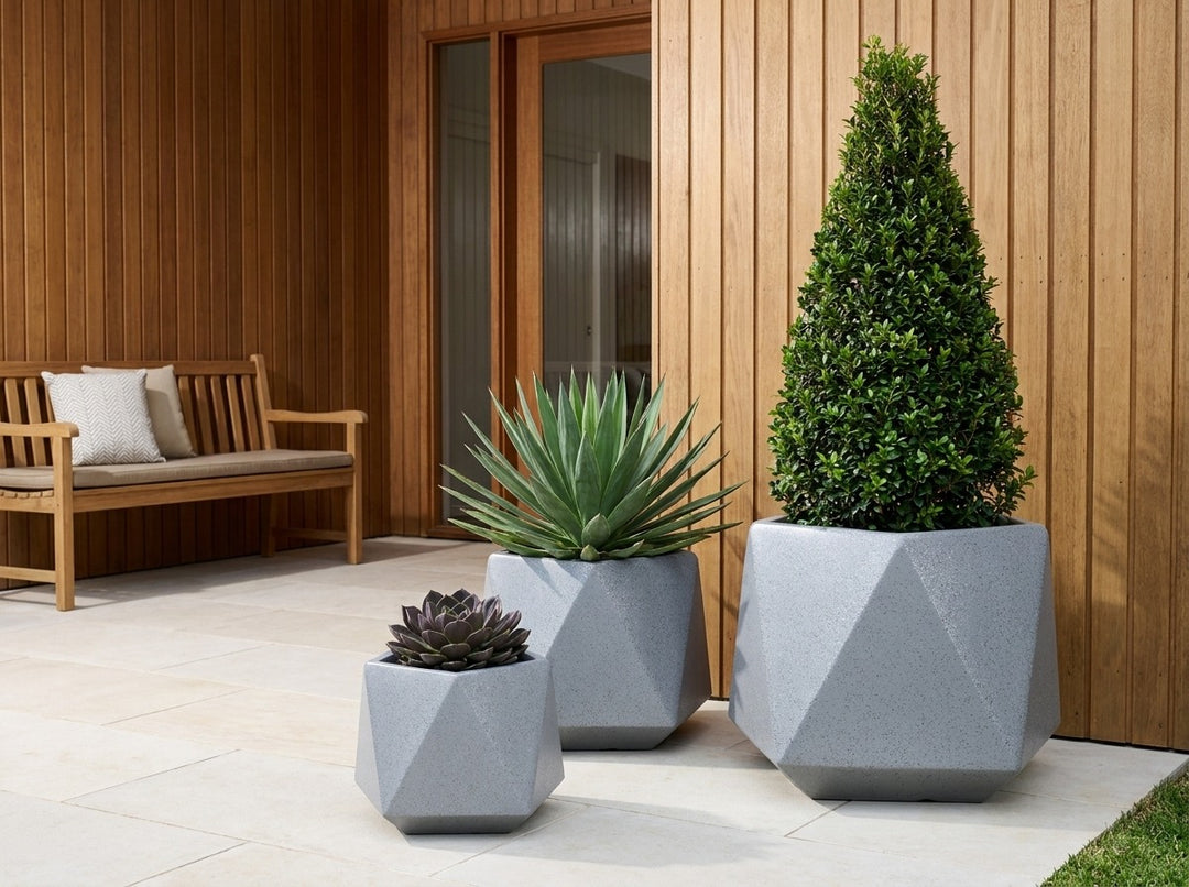 Geo Squat planter pots in Graphite grey terrazzo, all three sizes planted with a Lilly Pilly cone topiary, Beschorneria and echeveria at a timber-batten entry