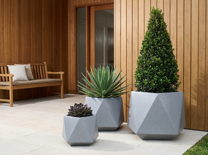 Geo Squat planter pots in Graphite grey terrazzo, all three sizes planted with a Lilly Pilly cone topiary, Beschorneria and echeveria at a timber-batten entry