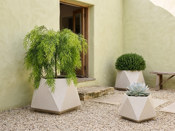 Geo Squat planter pots in Nougat cream terrazzo, all three sizes planted with an Acacia Waterfall weeping standard, rosemary and echeveria in a Mediterranean courtyard