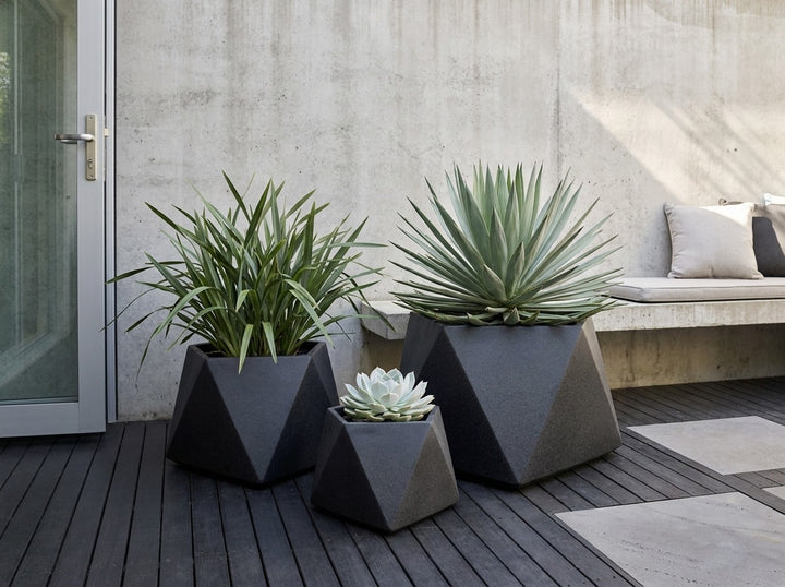 Geo Squat planter pots in Onyx black terrazzo, all three sizes planted with a Beschorneria, Dianella flax-lily and echeveria on a charcoal timber deck