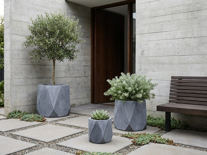 Geo Squat planter pots in Slate grey concrete-look fibre-clay, all three sizes planted with an olive standard, flowering Grevillea and echeveria in a board-formed concrete courtyard