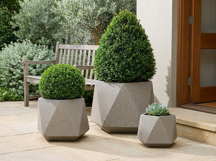 Geo Squat planter pots in Taupe terrazzo, all three sizes planted with a Lilly Pilly cone topiary, clipped buxus ball and echeveria on a sandstone terrace