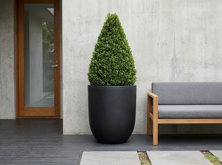Havana tall planter pot in near-black Raven terrazzo, planted with a bright green clipped cone topiary on a charcoal timber deck