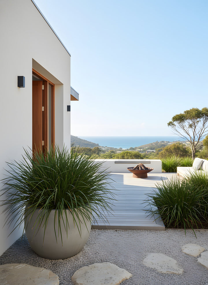 Lomandra Longifolia &
