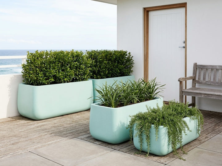 Monarch Trough planters in soft mint-aqua Blue matte, all three sizes planted with a Lilly Pilly hedge row, Dianella and trailing rosemary on a coastal balcony