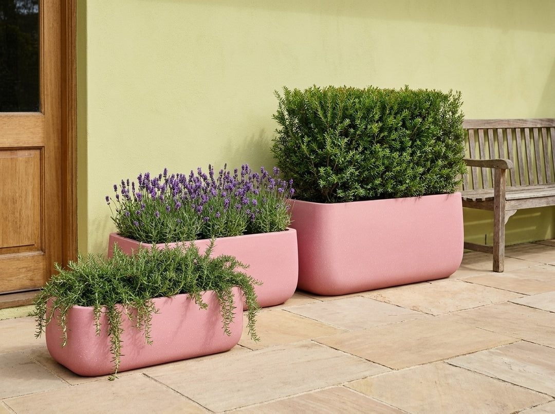 Monarch Trough planters in dusty rose Pink matte, all three sizes planted with a Melaleuca hedge row, lavender and trailing rosemary on a sandstone terrace