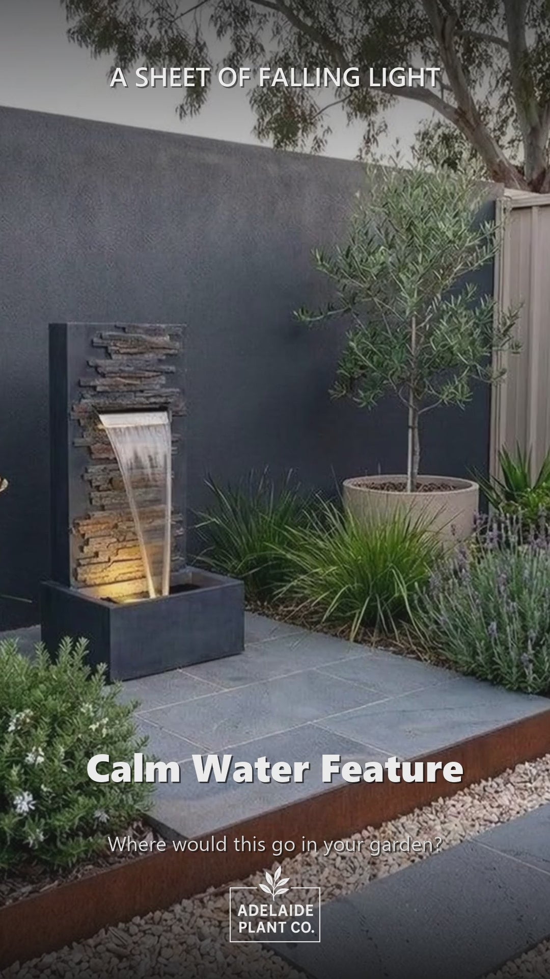 Calm Water Feature in an Adelaide garden