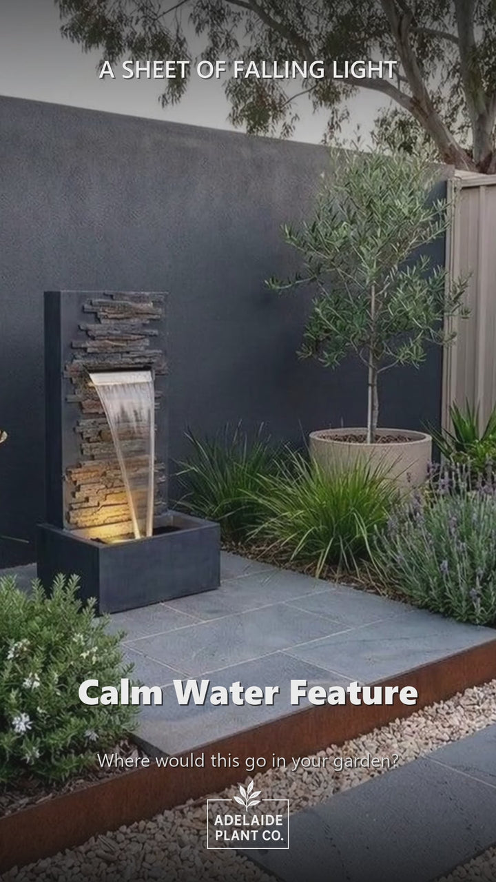 Calm Water Feature in an Adelaide garden