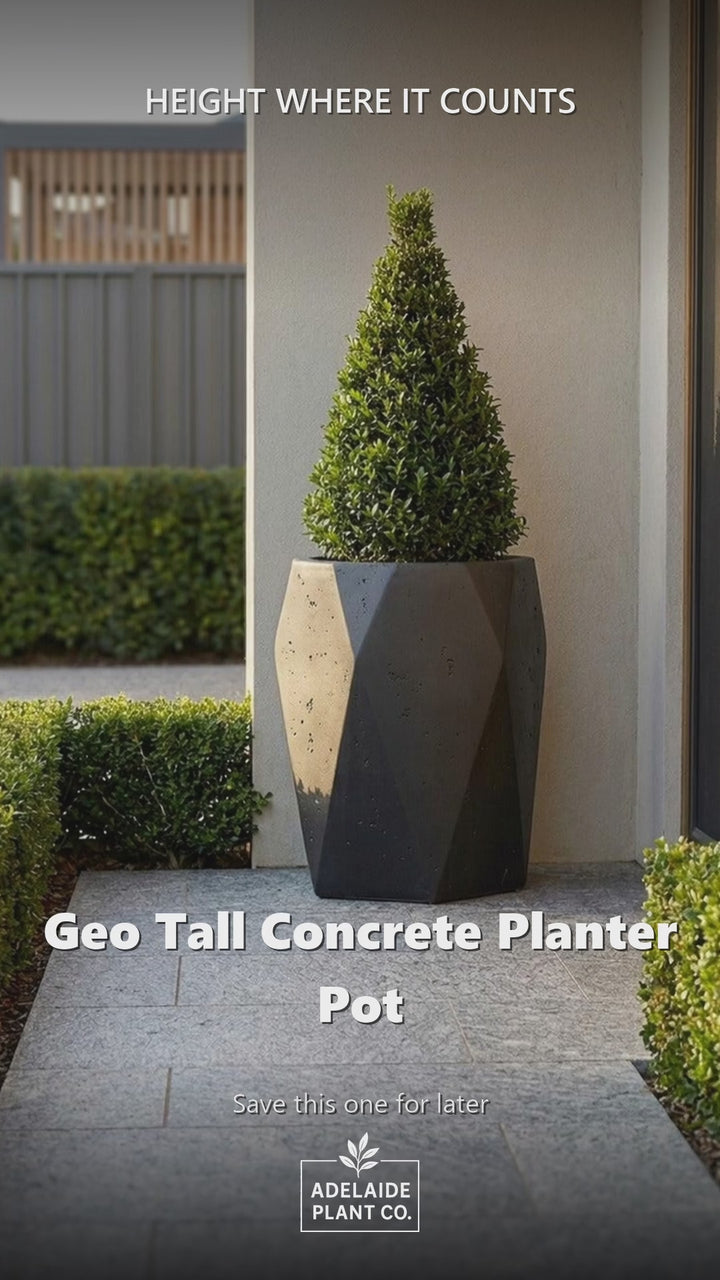 Geo Tall Concrete Planter Pot in an Adelaide garden