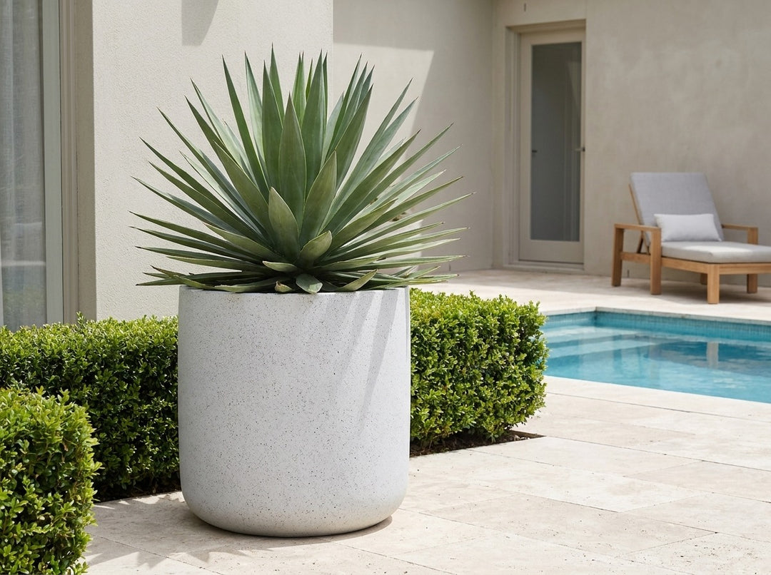 Savannah mounded planter pot in Blizzard white terrazzo, planted with a spreading architectural agave beside a pool