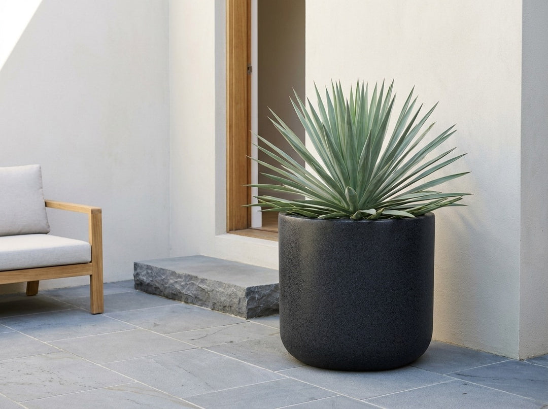 Savannah mounded planter pot in Onyx black terrazzo, planted with a silver-green Beschorneria in a rendered courtyard