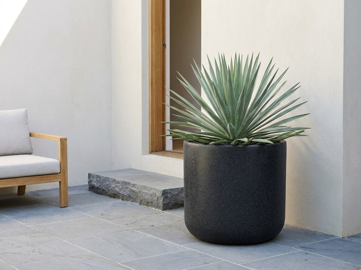 Savannah mounded planter pot in Onyx black terrazzo, planted with a silver-green Beschorneria in a rendered courtyard