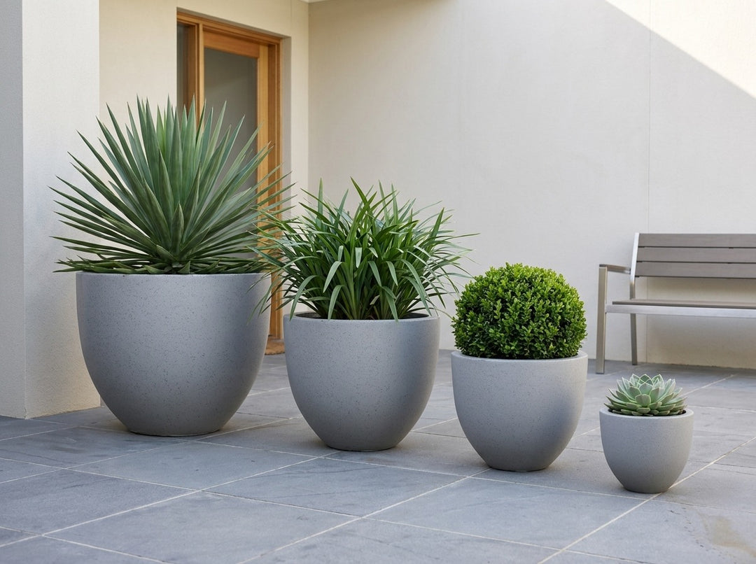 Sienna egg-shaped planter pots in Graphite terrazzo fibre-clay, all four sizes planted with a Beschorneria, Dianella flax-lily, clipped buxus ball and echeveria on bluestone paving