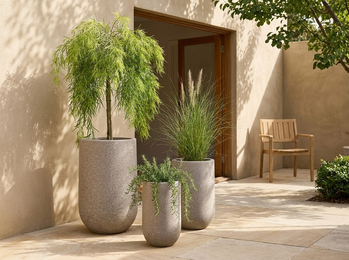 Sorento U-shaped planter pots in Taupe terrazzo fibre-clay, all three sizes planted with an Acacia Waterfall weeping standard, ornamental grass and trailing rosemary on sandstone paving