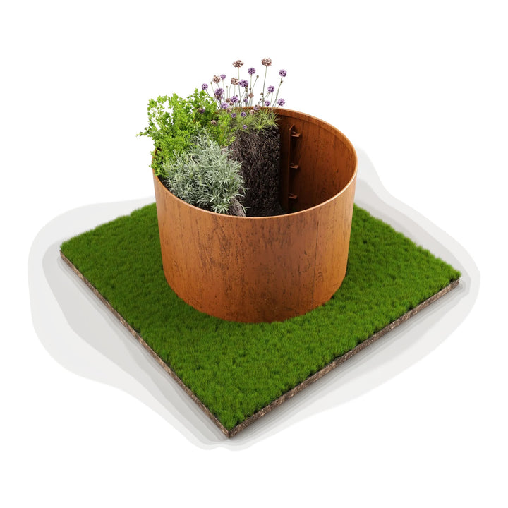 Straightcurve pre-curved ring garden bed 800 mm diameter, 560 mm high, weathering steel