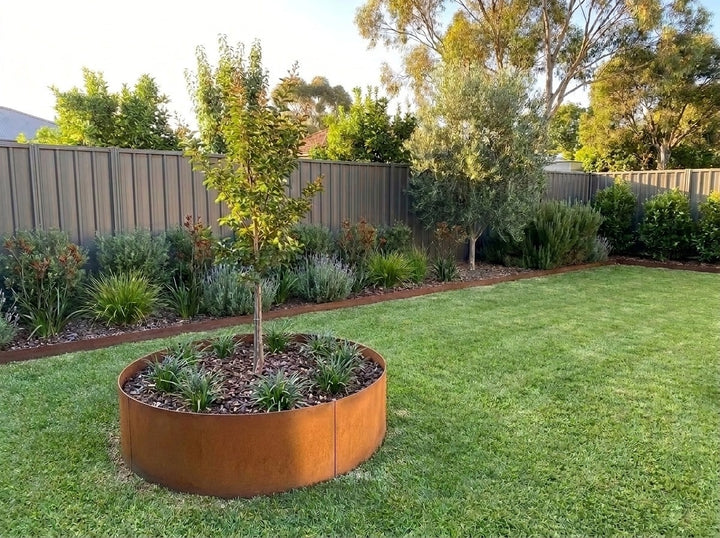240 mm Straightcurve weathering steel ring as a tree surround around a crepe myrtle in an Adelaide back lawn, with straight steel garden edging