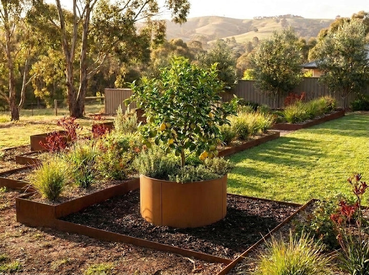 560 mm Straightcurve steel ring planter with a lemon tree in a terraced Adelaide Hills garden with straight steel edging